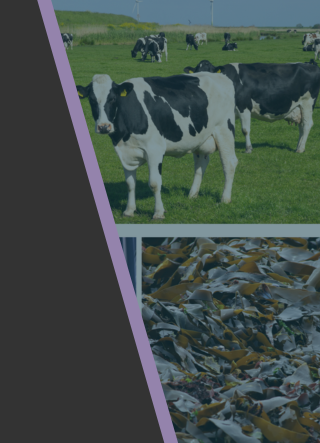 Food, Agriculture and Marine