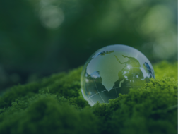 ESG Reports